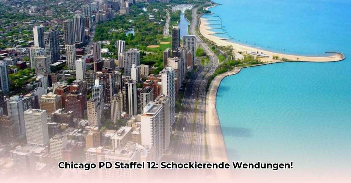 chicago-pd-staffel-12